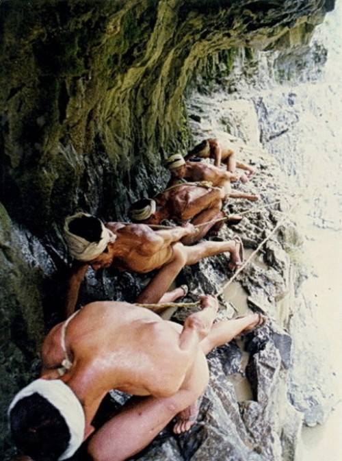 10537125_714472931957055_6255652331141629364_n