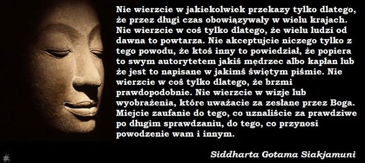 11329764_824195671000634_6491525873639449730_n
